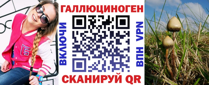 ссылка на мегу зеркало Гагарин Галлюциногенные грибы MAGIC MUSHROOMS